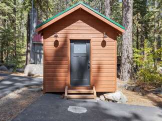 Discover this charming cabin nestled amongst tall pine trees, featuring a warm cedar exterior and a vibrant green roof.