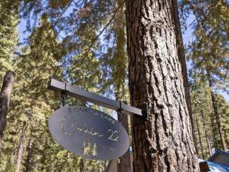 Discover 'Cabin 22' at Donner Lake, a charming retreat nestled among tall pine trees.