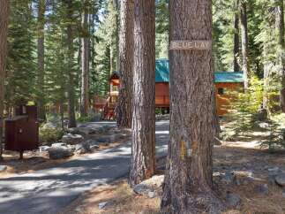 Nestled among tall pine trees, this charming cabin offers a serene mountain getaway.
