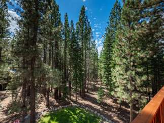 Nestled amidst a serene pine forest, this property offers a tranquil retreat with stunning natural surroundings.