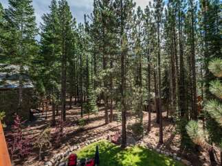 Escape to this stunning mountain retreat nestled amongst towering pine trees.