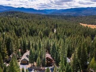 Nestled amidst a dense forest of towering pine trees, this property offers a secluded mountain retreat.