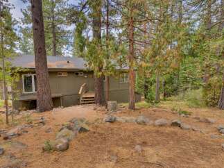 Nestled amongst tall pine trees, this charming home offers a serene retreat.