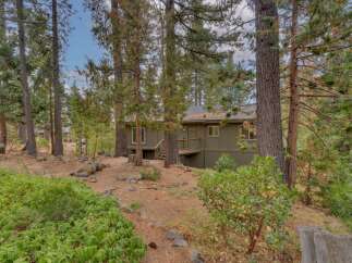 Nestled amongst tall pine trees, this charming home offers a serene retreat.