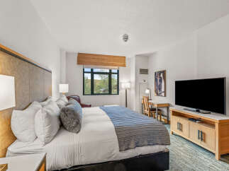 Experience comfort and style in this beautifully appointed hotel room, featuring a plush king-sized bed with crisp white linens and a decorative throw.