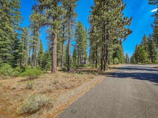 Nestled among towering pine trees, this property offers a serene and private setting.