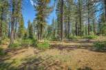 Nestled within a serene pine forest, this property offers a tranquil escape surrounded by mature trees and lush green undergrowth.