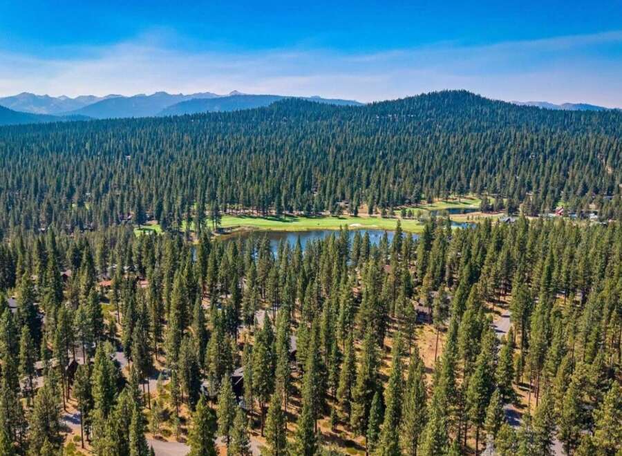 Discover a serene mountain retreat nestled amidst a dense pine forest, offering breathtaking views and unparalleled privacy.