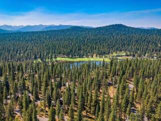 Discover a serene mountain retreat nestled amidst a dense pine forest, offering breathtaking views and unparalleled privacy.