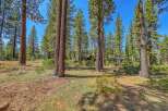 Nestled amidst a serene pine forest, this property offers a tranquil escape with mature trees providing ample shade and privacy.
