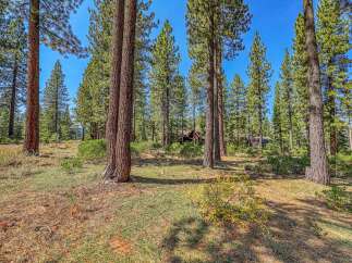 Nestled amidst a serene pine forest, this property offers a tranquil escape with mature trees providing ample shade and privacy.