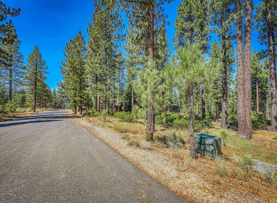 Nestled amidst towering pine trees, this property offers a serene and private retreat.