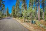 Nestled amidst towering pine trees, this property offers a serene and private retreat.