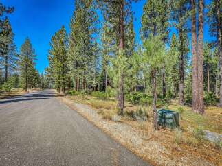 Nestled amidst towering pine trees, this property offers a serene and private retreat.