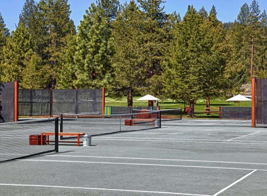 Enjoy a game of tennis on this pristine court, surrounded by lush green trees and a clear blue sky.