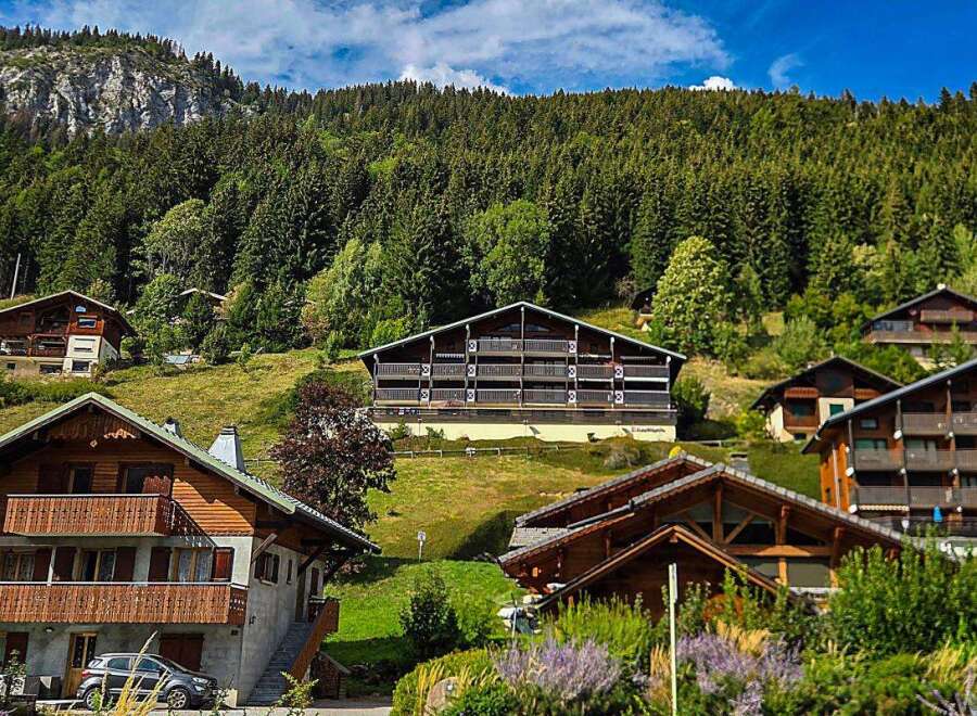 Nestled amidst the lush greenery and towering pine trees of the Alps, this charming chalet offers a serene mountain retreat.
