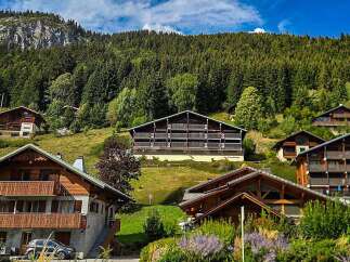 Nestled amidst the lush greenery and towering pine trees of the Alps, this charming chalet offers a serene mountain retreat.