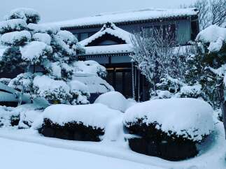 Experience the serene beauty of winter with this stunning property, featuring a traditional Japanese-style house nestled amidst a meticulously landscaped garden blanketed in fresh snow.