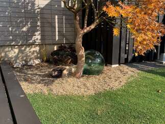 Enhance your outdoor living space with this charming garden featuring a vibrant Japanese maple tree in its autumn glory.