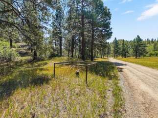 Discover this picturesque property featuring a rustic metal enclosure and a dirt road winding through a serene landscape of mature pine trees and lush green meadows.