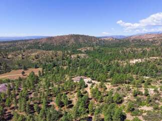 Discover this stunning property nestled amidst a lush pine forest, offering unparalleled privacy and breathtaking natural beauty.
