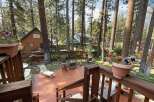 Enjoy outdoor living in this charming cabin retreat, featuring a spacious wooden deck perfect for entertaining or relaxing amidst the tall pine trees.