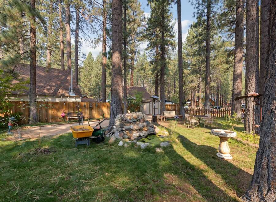Escape to this charming cabin nestled among tall pine trees, offering a serene backyard oasis.