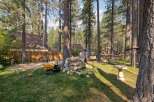 Escape to this charming cabin nestled among tall pine trees, offering a serene backyard oasis.