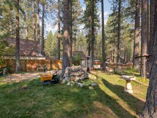Escape to this charming cabin nestled among tall pine trees, offering a serene backyard oasis.