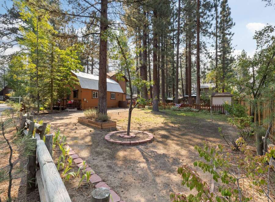 Nestled among tall pine trees, this charming cabin offers a serene retreat.