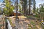 Nestled among tall pine trees, this charming cabin offers a serene retreat.
