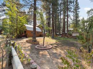 Nestled among tall pine trees, this charming cabin offers a serene retreat.