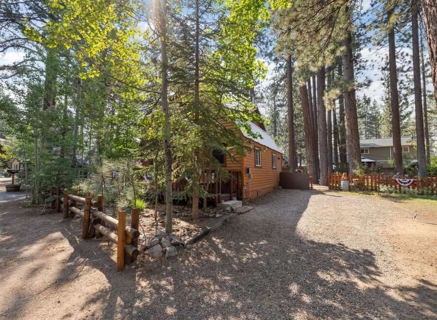 Charming log cabin nestled amongst tall pine trees, offering a serene and private retreat.
