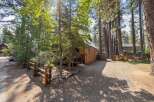 Charming log cabin nestled amongst tall pine trees, offering a serene and private retreat.