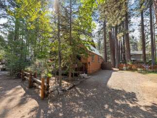 Charming log cabin nestled amongst tall pine trees, offering a serene and private retreat.