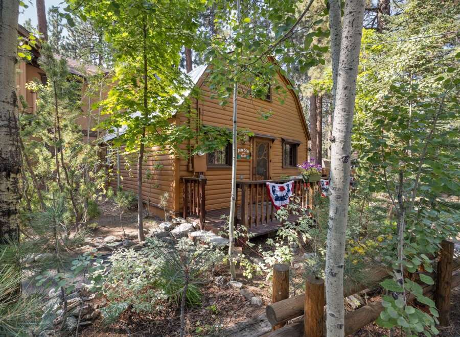 Nestled amongst tall trees, this charming cabin offers a serene mountain retreat.