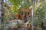 Nestled amongst tall trees, this charming cabin offers a serene mountain retreat.