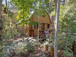 Nestled amongst tall trees, this charming cabin offers a serene mountain retreat.
