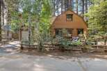 Charming rustic cabin nestled amongst tall pine trees, offering a serene mountain getaway.