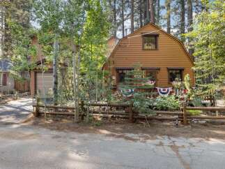 Charming rustic cabin nestled amongst tall pine trees, offering a serene mountain getaway.