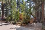 Nestled amongst tall pine trees, this charming cabin offers a rustic retreat with its warm wood siding and inviting porch.