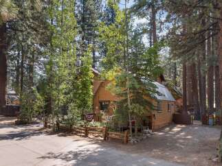 Nestled amongst tall pine trees, this charming cabin offers a rustic retreat with its warm wood siding and inviting porch.