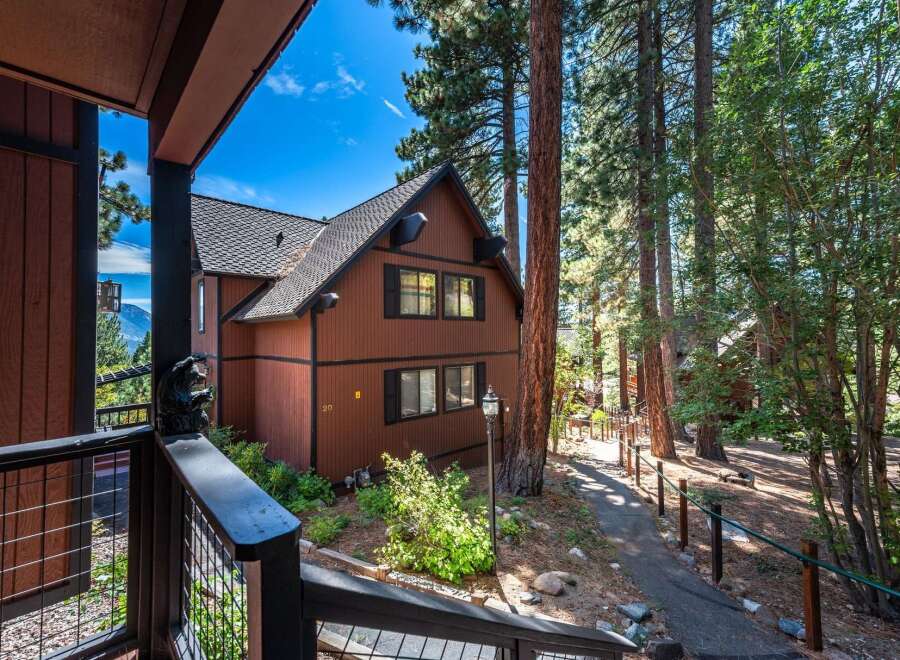 Nestled amongst towering pine trees, this charming brown cabin offers a serene mountain getaway.