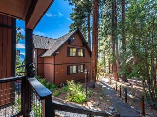 Nestled amongst towering pine trees, this charming brown cabin offers a serene mountain getaway.