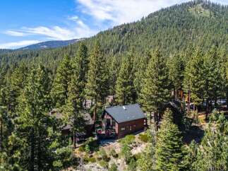 Nestled amidst a lush pine forest, this charming cabin offers a serene mountain retreat.