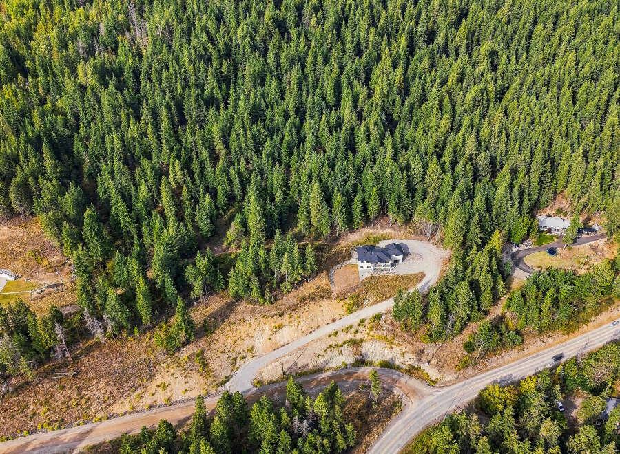 Discover your private oasis nestled within a dense forest, offering unparalleled tranquility and natural beauty.