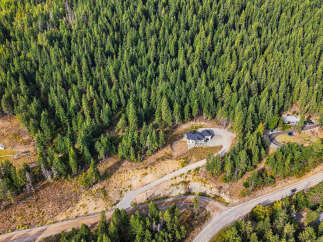 Discover your private oasis nestled within a dense forest, offering unparalleled tranquility and natural beauty.