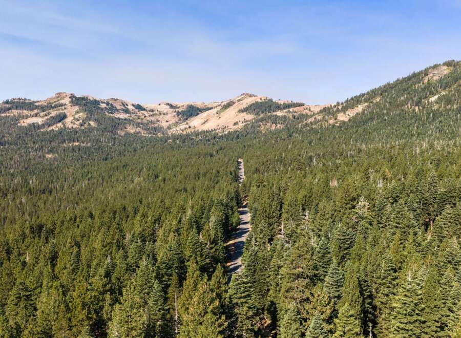 Discover a serene escape with this stunning aerial view of a winding road cutting through a dense, evergreen forest.