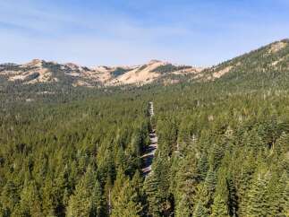 Discover a serene escape with this stunning aerial view of a winding road cutting through a dense, evergreen forest.