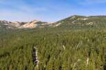 Discover breathtaking mountain vistas and lush evergreen forests from this stunning property.